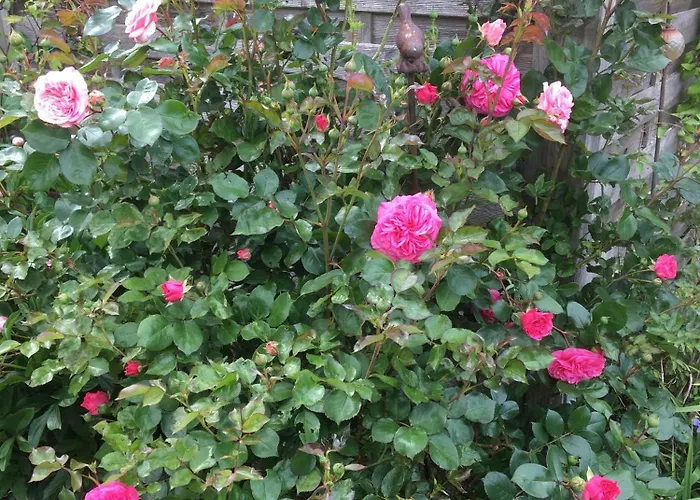 بيت للعطل Aukamp *